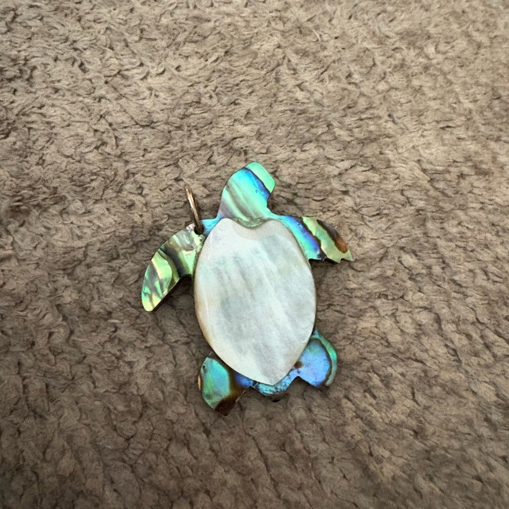 EUC turtle pendant